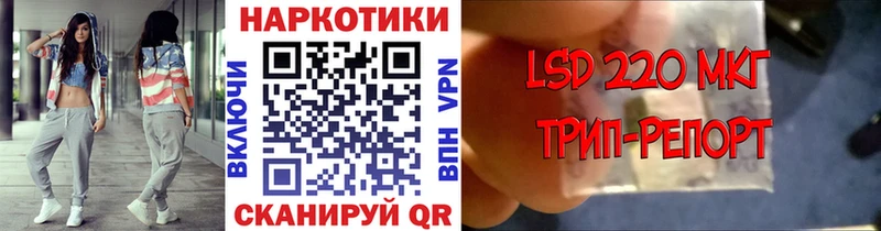 Магазины продажи наркотиков Королёв Псилоцибиновые грибы KRAKEN ссылка Каннабис COCAIN Героин A PVP Гашиш
