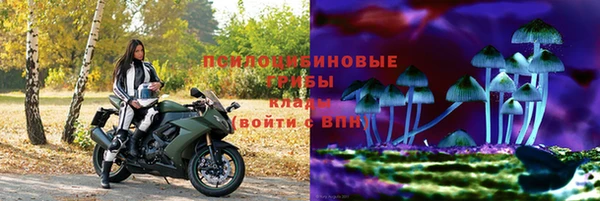 не бодяженный Алексин