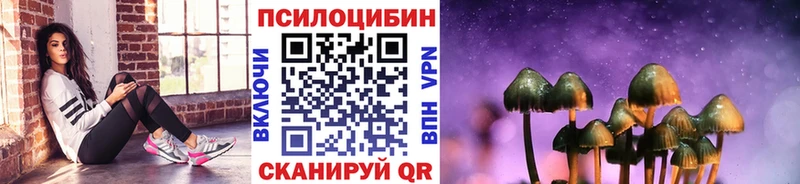 магазин    Королёв  Псилоцибиновые грибы Magic Shrooms 